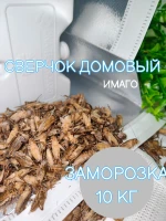 Сверчок замороженный
