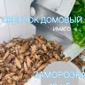 Сверчок замороженный