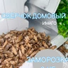 Сверчок замороженный